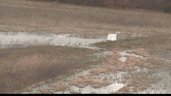 Cell 2 to 3 Monitoring-22-04-07_12-21-51-43