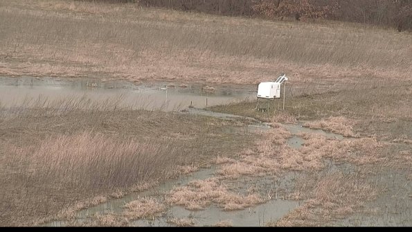 Cell 2 to 3 Monitoring-22-04-07_15-28-17-35