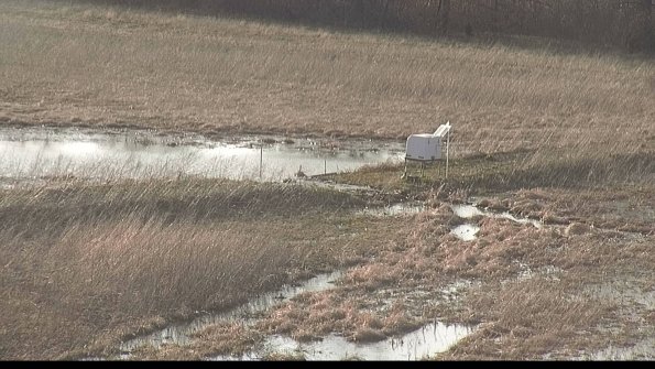 Cell 2 to 3 Monitoring-22-04-07_18-34-43-28