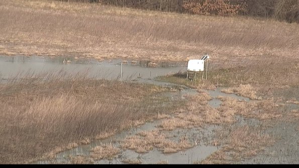 Cell 2 to 3 Monitoring22-04-07_09-15-26-51