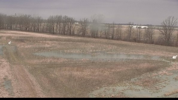 Cell 2-22-04-07_10-17-21-47