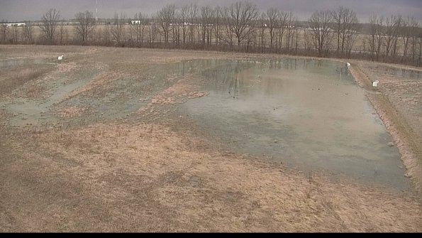 Cell 3-22-04-07_10-17-49-47