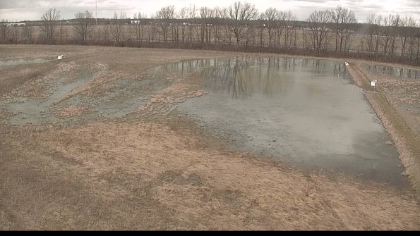 Cell 3-22-04-07_15-28-32-37