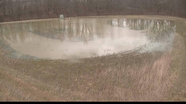 Cell 4-22-04-07_10-18-17-46