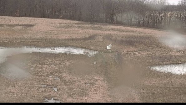 Cell 1 to 2 Monitoring-22-04-08_13-12-48-82