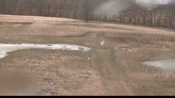 Cell 1 to 2 Monitoring-22-04-08_14-14-54-81