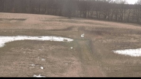 Cell 1 to 2 Monitoring-22-04-08_17-21-20-73