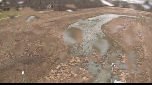 Cell 1-22-04-08_12-03-50-85