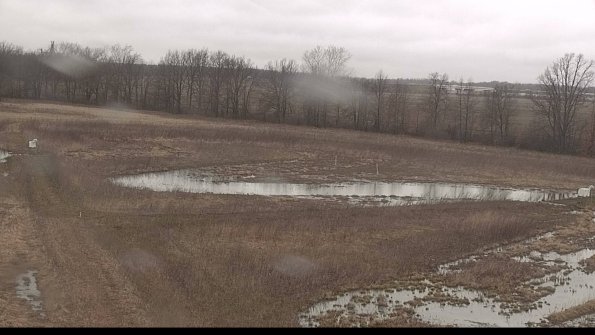 Cell 2-22-04-08_10-06-36-90