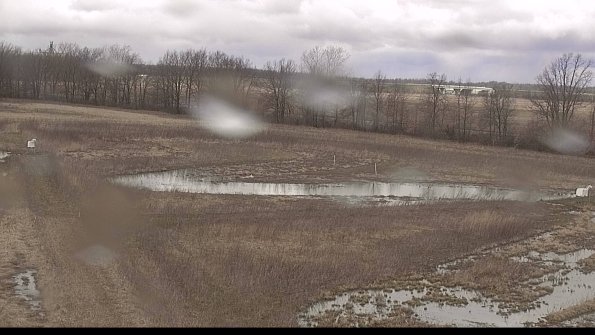 Cell 2-22-04-08_13-13-01-80