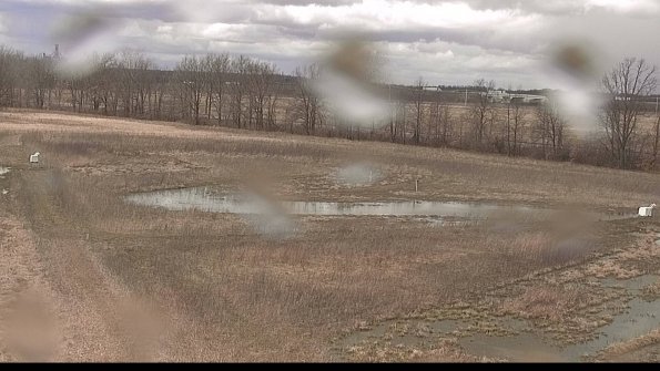 Cell 2-22-04-08_14-15-07-79