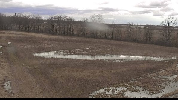 Cell 2-22-04-08_17-21-33-74