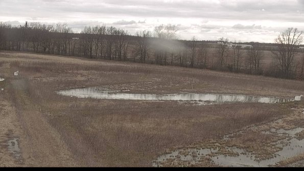 Cell 2-22-04-08_18-23-42-72