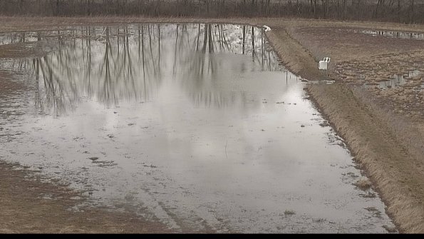 Cell 3 to 4 Monitoring-22-04-08_13-13-44-81