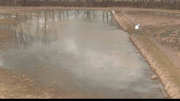 Cell 3 to 4 Monitoring-22-04-08_14-15-50-80