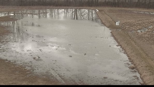 Cell 3 to 4 Monitoring-22-04-08_17-22-16-72