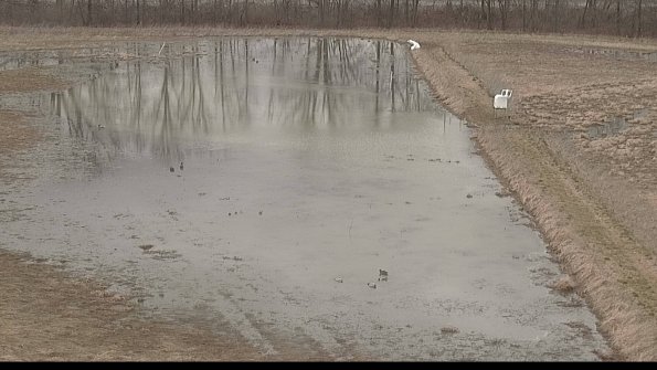 Cell 3 to 4 Monitoring-22-04-08_18-24-25-70