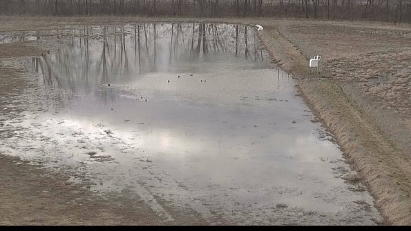 Cell 3 to 4 Monitoring-22-04-08_19-26-34-67