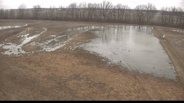 Cell 3-22-04-08_10-07-04-90