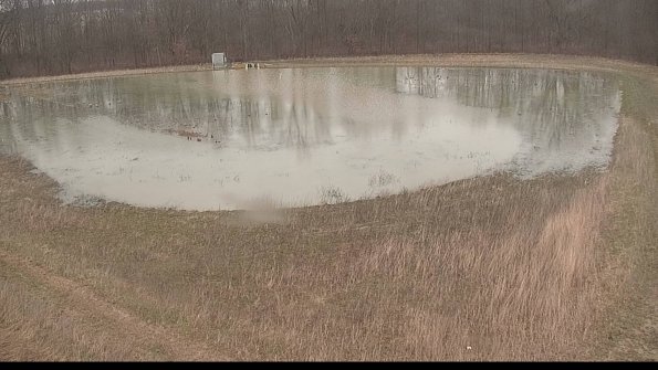 Cell 4-22-04-08_09-05-24-92