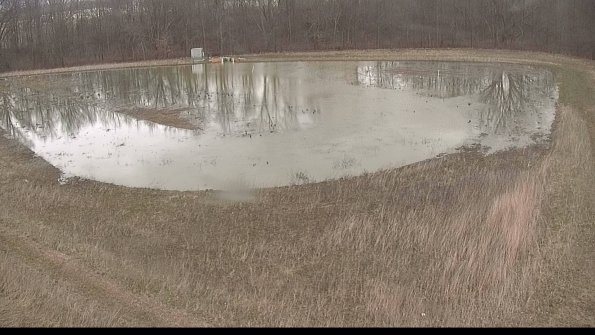 Cell 4-22-04-08_13-13-58-82