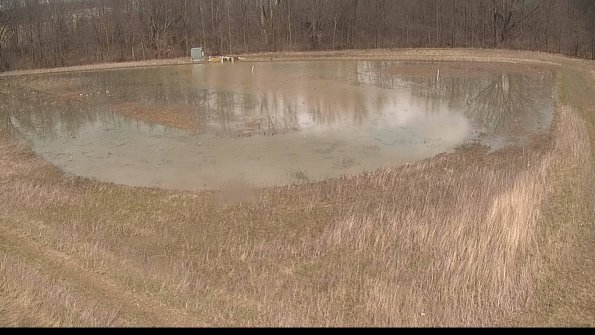 Cell 4-22-04-08_14-16-04-78