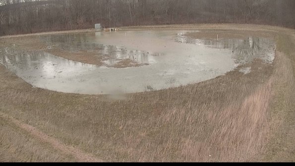 Cell 4-22-04-08_17-22-30-74