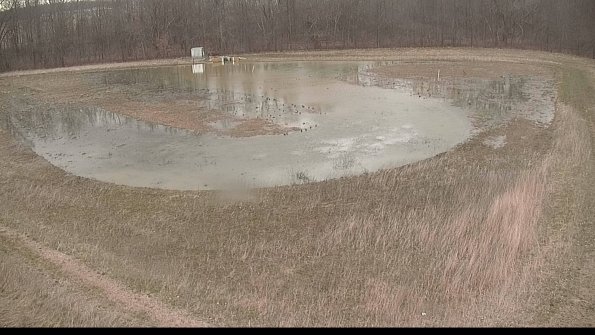 Cell 4-22-04-08_18-24-39-71