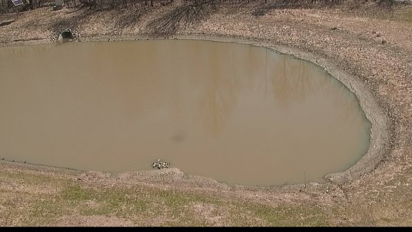 Settling basin-22-04-10_12-50-52-60