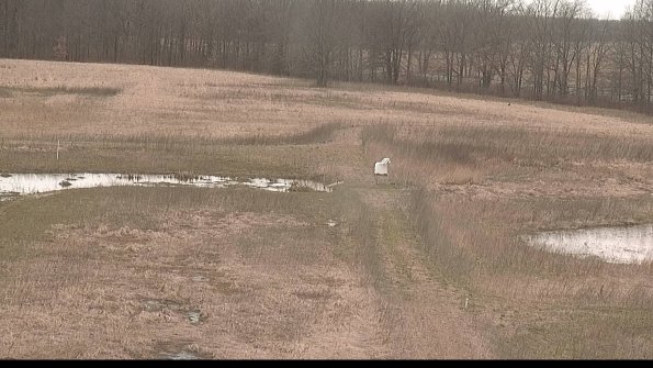 Cell 1 to 2 Monitoring-22-04-11_12-40-38-13