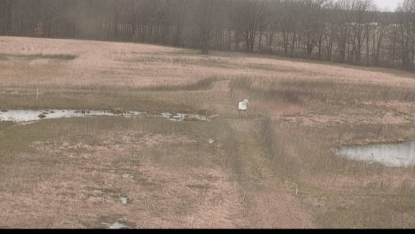 Cell 1 to 2 Monitoring-22-04-11_15-47-03-07