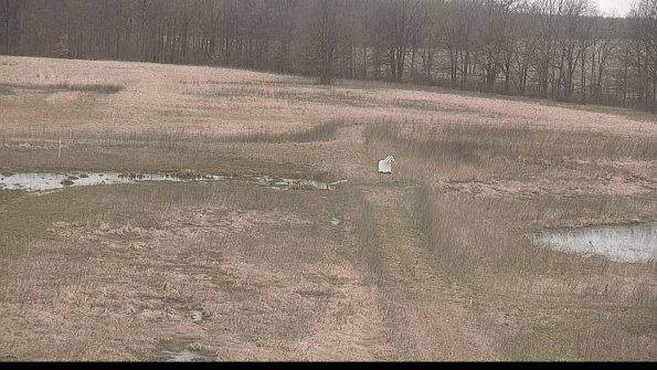 Cell 1 to 2 Monitoring-22-04-11_17-51-19-02