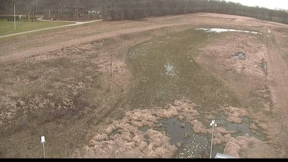 Cell 1-22-04-11_09-15-36-16