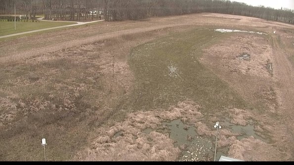 Cell 1-22-04-11_11-38-16-14