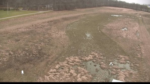 Cell 1-22-04-11_15-46-49-05