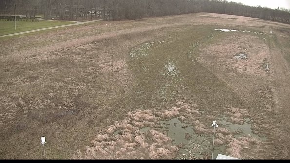 Cell 1-22-04-11_16-48-57-03