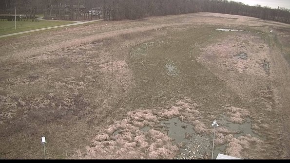 Cell 1-22-04-11_18-53-13-01