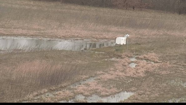 Cell 2 to 3 Monitoring-22-04-11_15-47-29-06