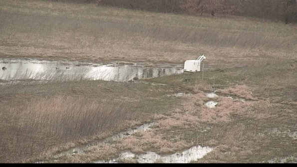 Cell 2 to 3 Monitoring-22-04-11_16-49-37-03