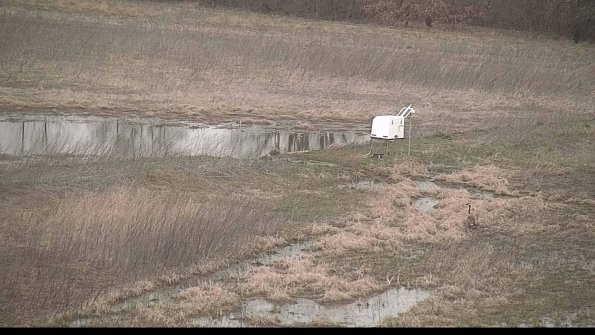 Cell 2 to 3 Monitoring-22-04-11_18-53-52-98