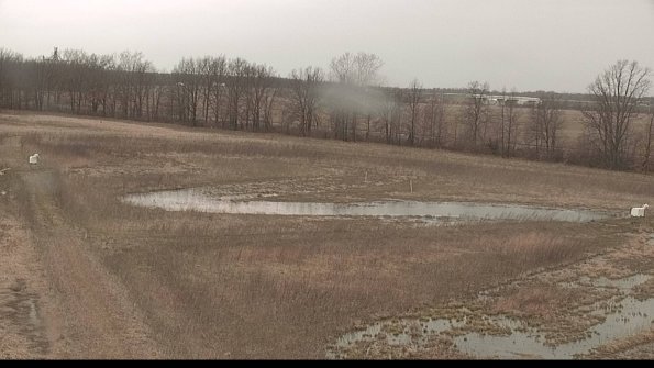 Cell 2-22-04-11_12-40-51-11