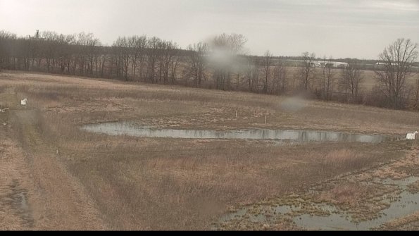 Cell 2-22-04-11_13-43-00-09