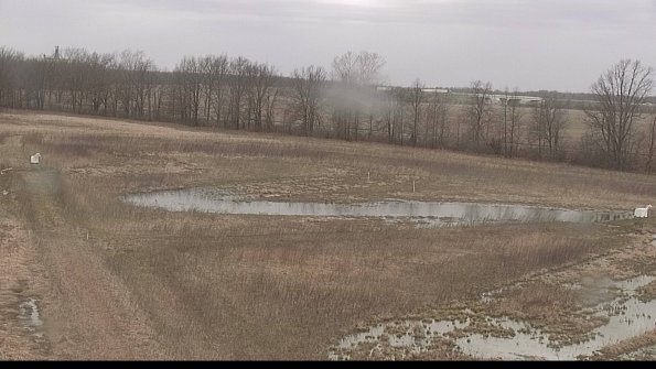 Cell 2-22-04-11_15-47-16-05