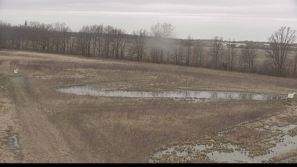 Cell 2-22-04-11_17-51-32-03