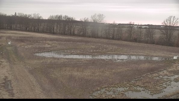 Cell 2-22-04-11_18-53-40-01