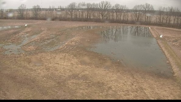 Cell 3-22-04-11_14-45-36-06