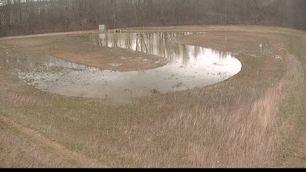 Cell 4-22-04-11_13-43-56-11