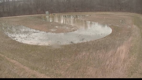 Cell 4-22-04-11_15-48-12-07