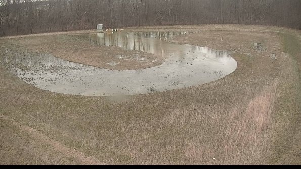 Cell 4-22-04-11_16-50-20-04