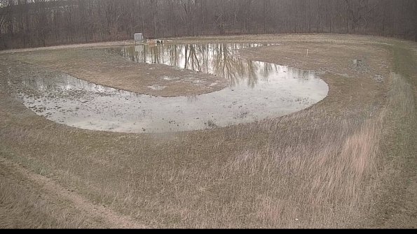 Cell 4-22-04-11_18-54-35-99